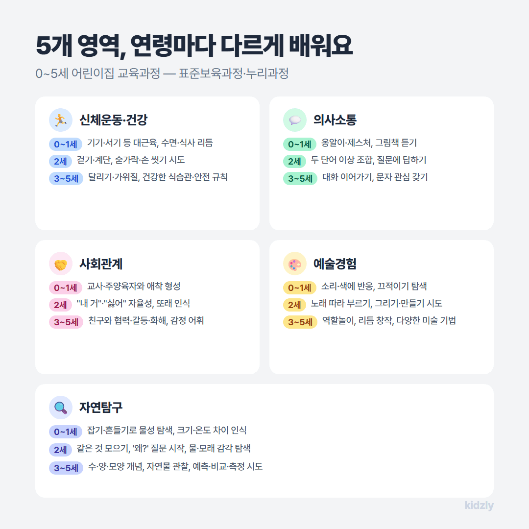 어린이집 5개 영역(신체운동·건강, 의사소통, 사회관계, 예술경험, 자연탐구) 연령별 교육 내용 정리