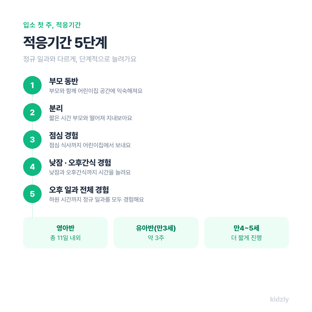 어린이집 적응기간 5단계 부모동반 분리 점심경험 낮잠간식경험 오후일과전체경험 순서도