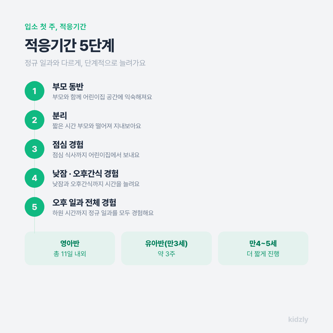 어린이집 적응기간 5단계 부모동반 분리 점심경험 낮잠간식경험 오후일과전체경험 순서도